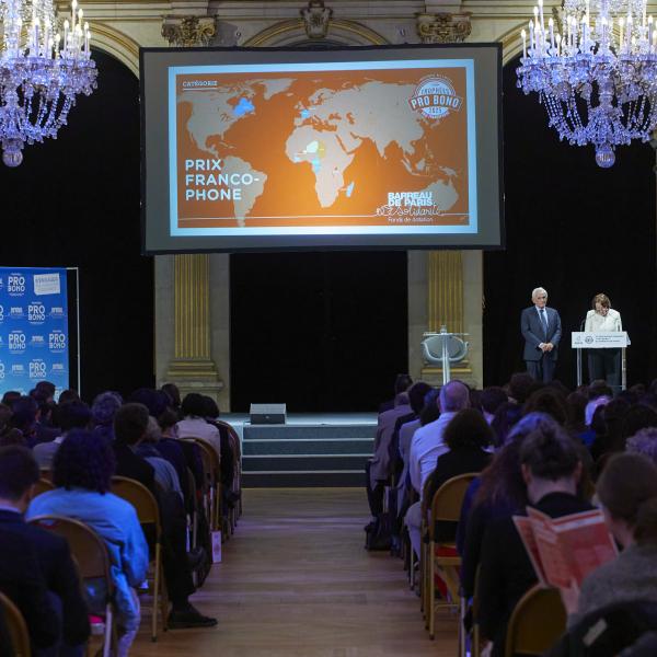 Prix Pro Bono Francophone